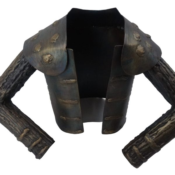 Chaquetilla de torero , Costume de lumières